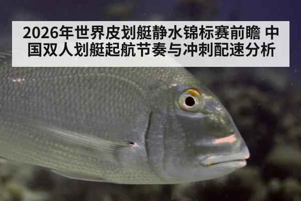 2026年世界皮划艇静水锦标赛前瞻 中国双人划艇起航节奏与冲刺配速分析